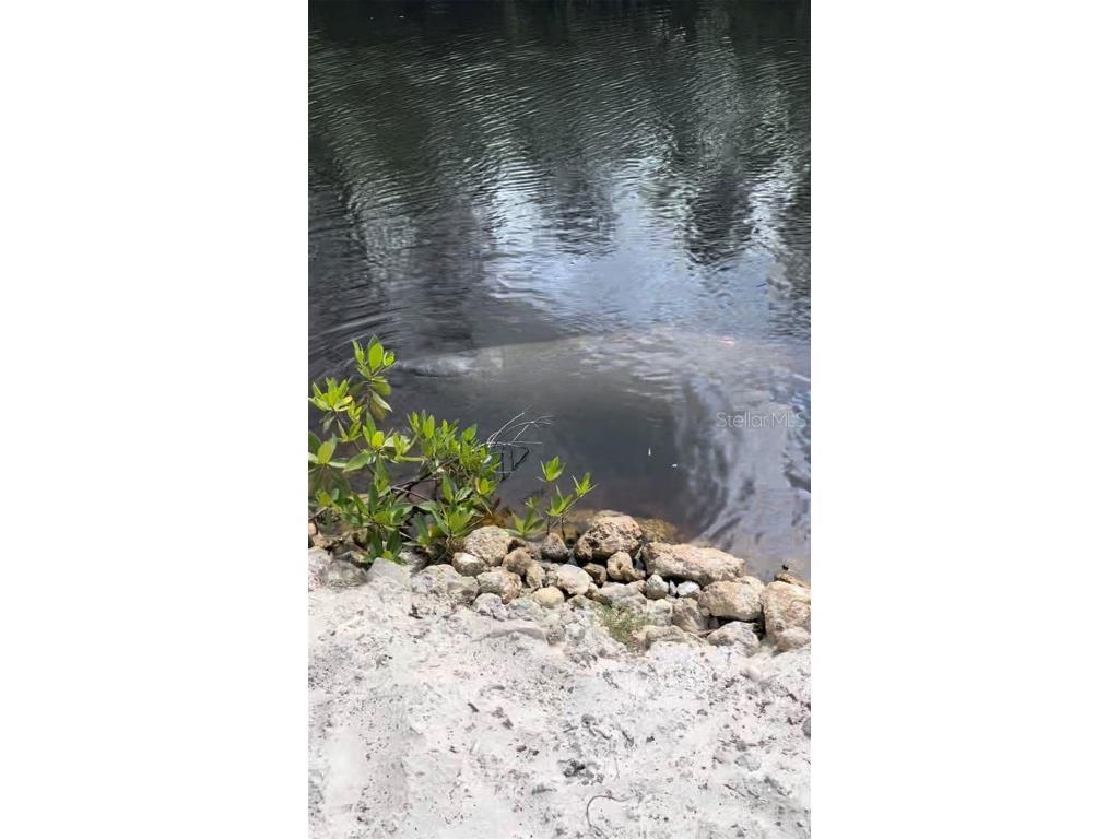 6059 Montego Bay Loop Fort Myers FL 33908 A4639399 image53