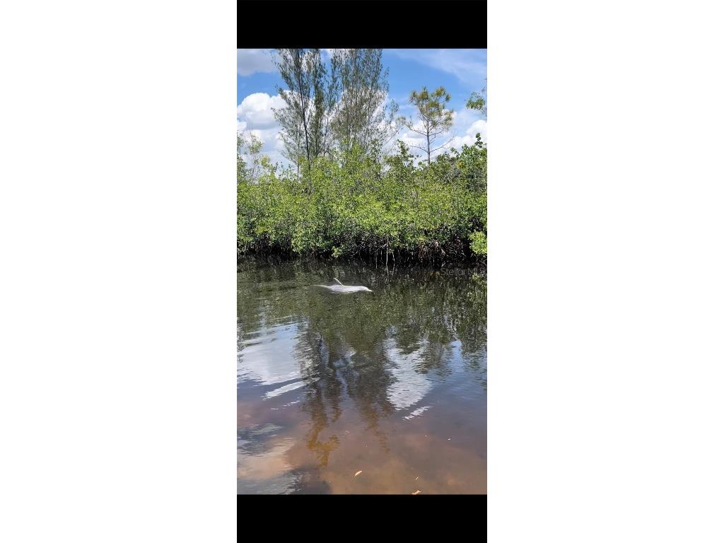 6059 Montego Bay Loop Fort Myers FL 33908 A4639399 image54