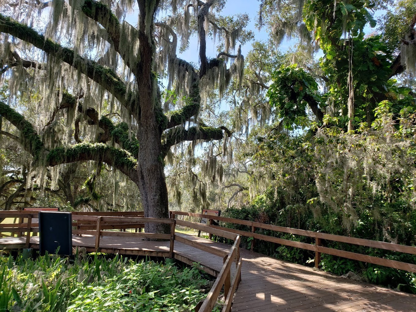 606 19th Avenue W Palmetto FL 34221 A4679236 image52