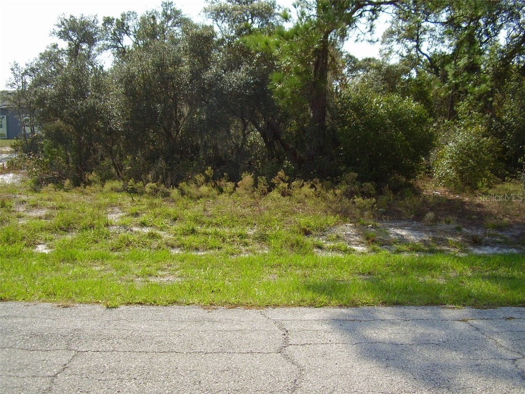 606 Amazon Court Poinciana FL 34759 R4906540 image1