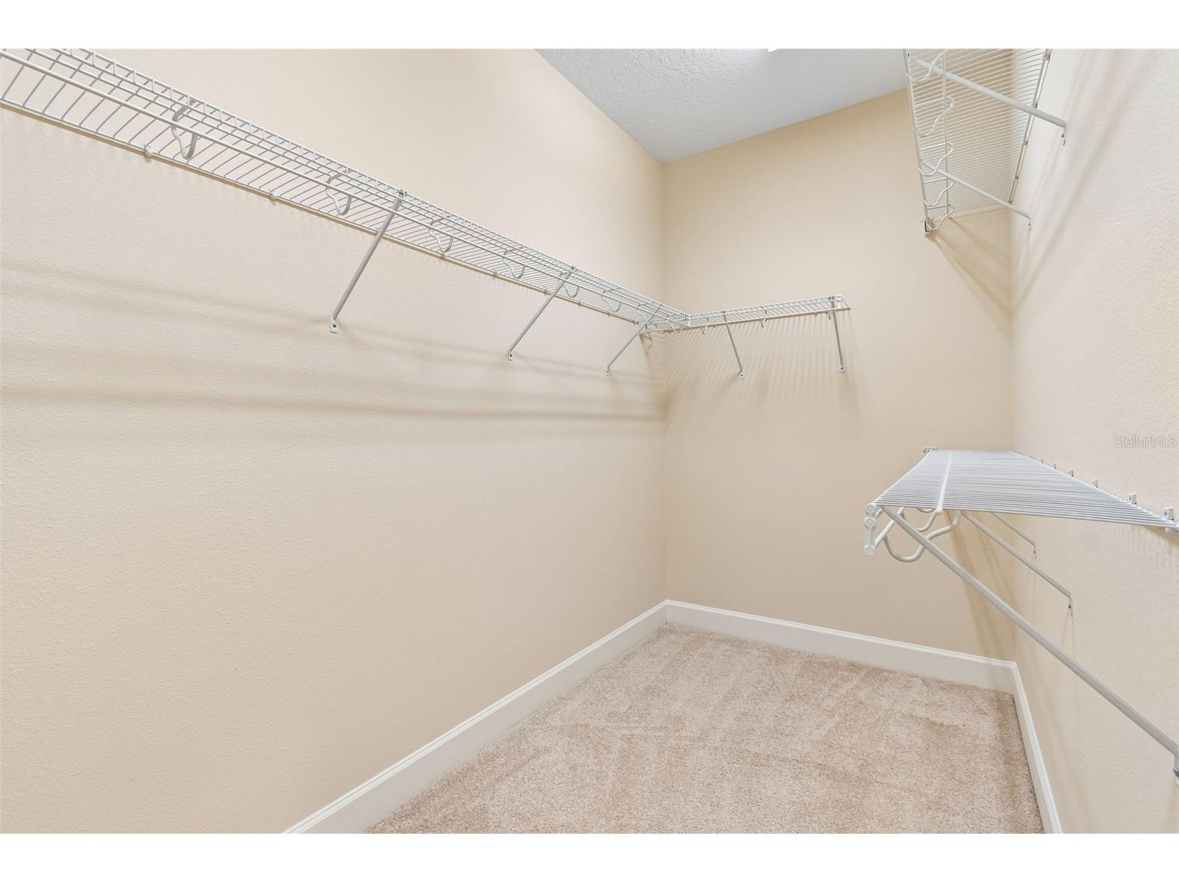 606 Cabernet Way Oldsmar FL 34677 TB8512784 image45