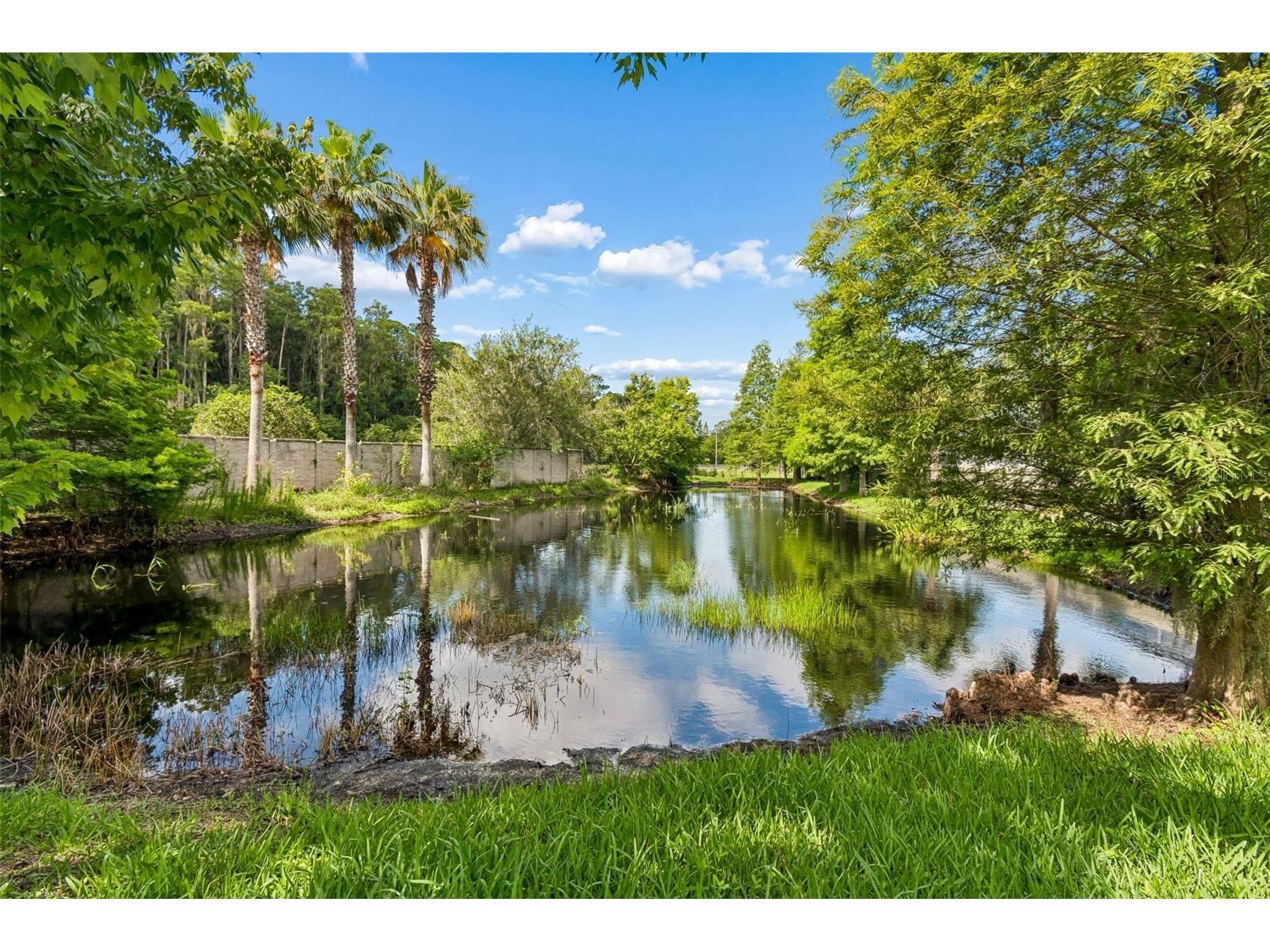 606 Cabernet Way Oldsmar FL 34677 TB8512784 image51