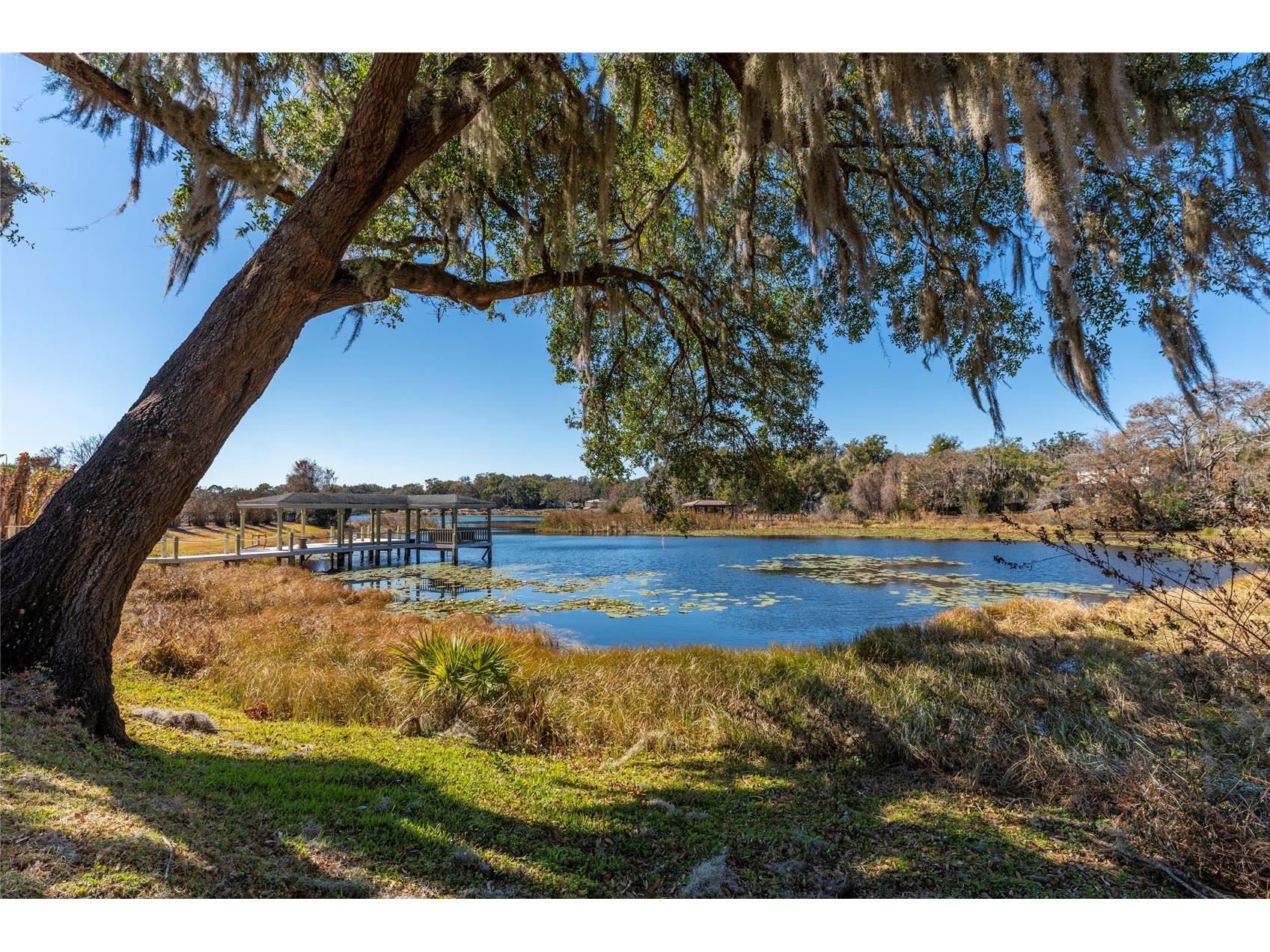 606 E 6th Avenue Windermere FL 34786 O6381054 image57