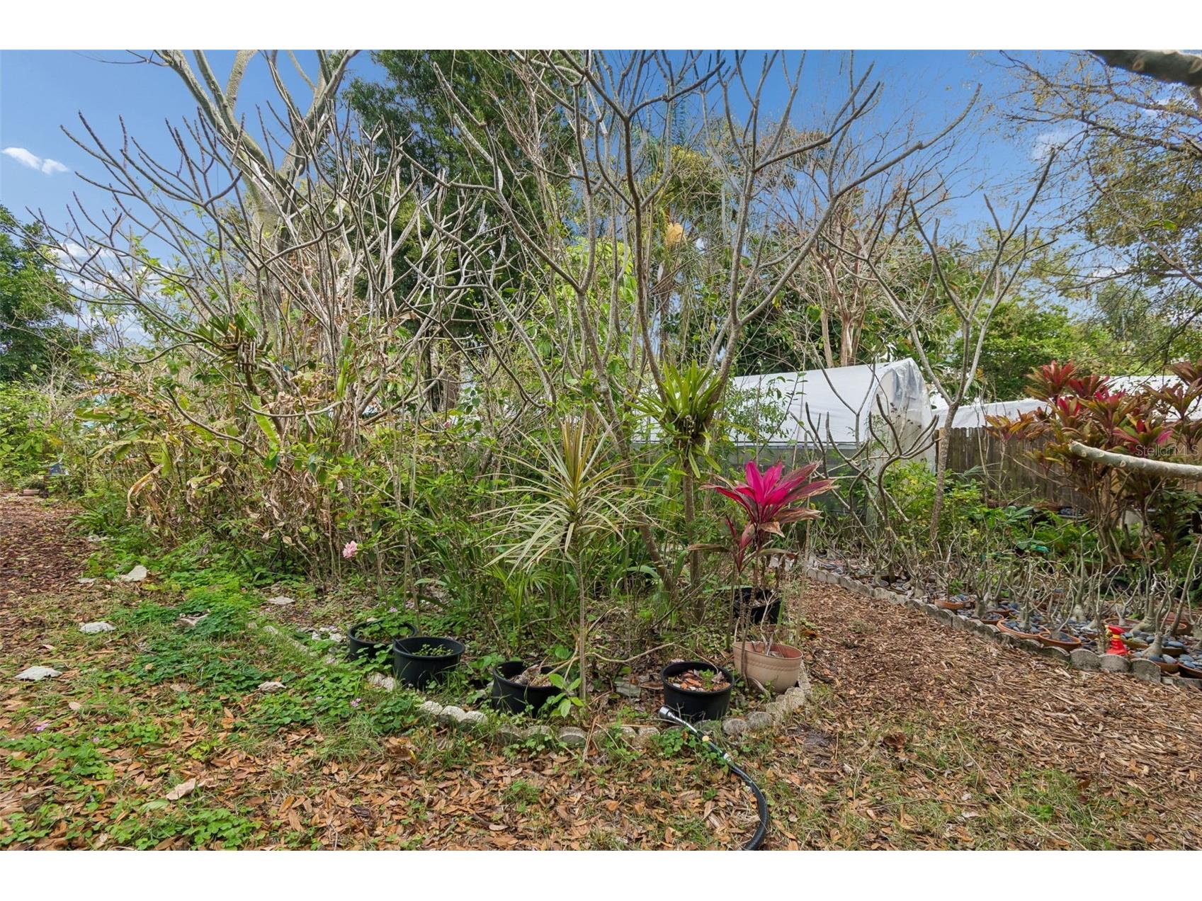 606 Grovewood Lane Largo FL 33770 TB8482189 image56