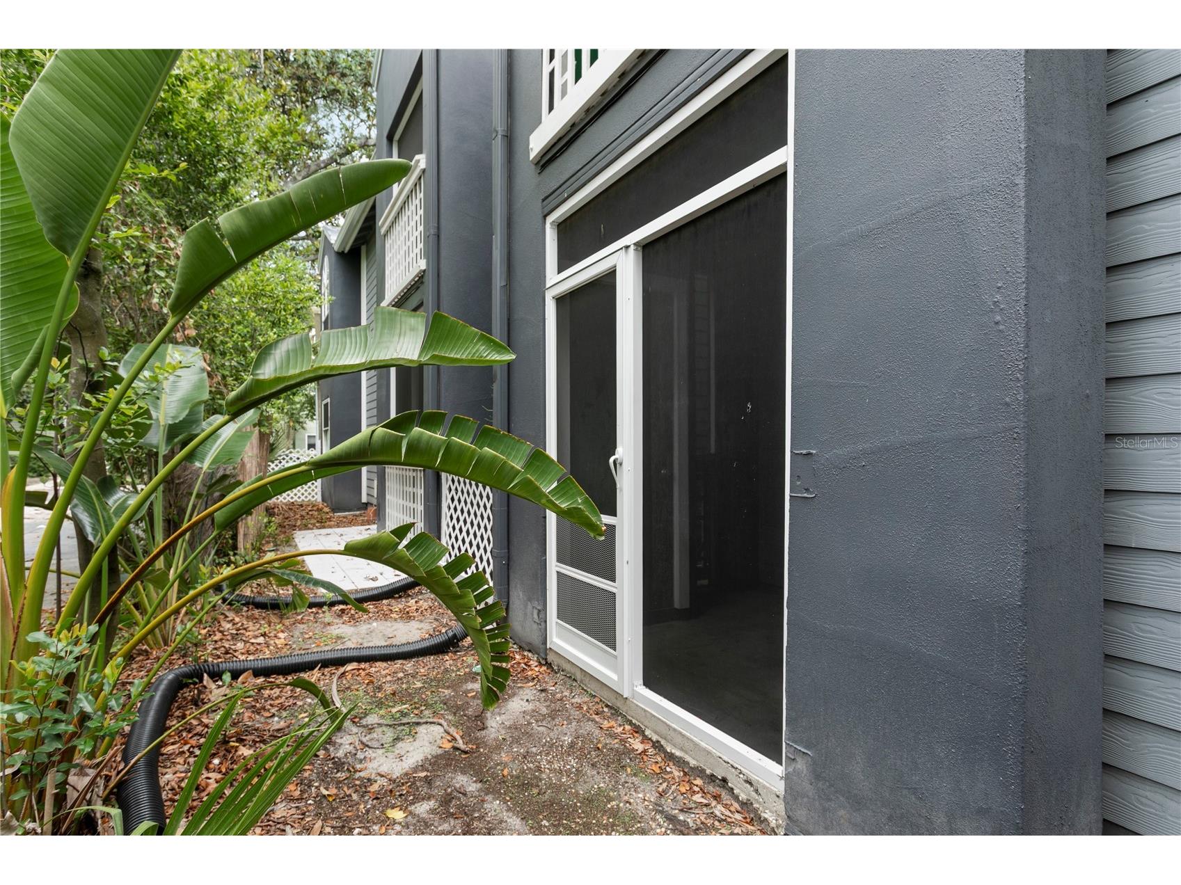 606 S Albany Avenue #17 Tampa FL 33606 TB8516178 image28