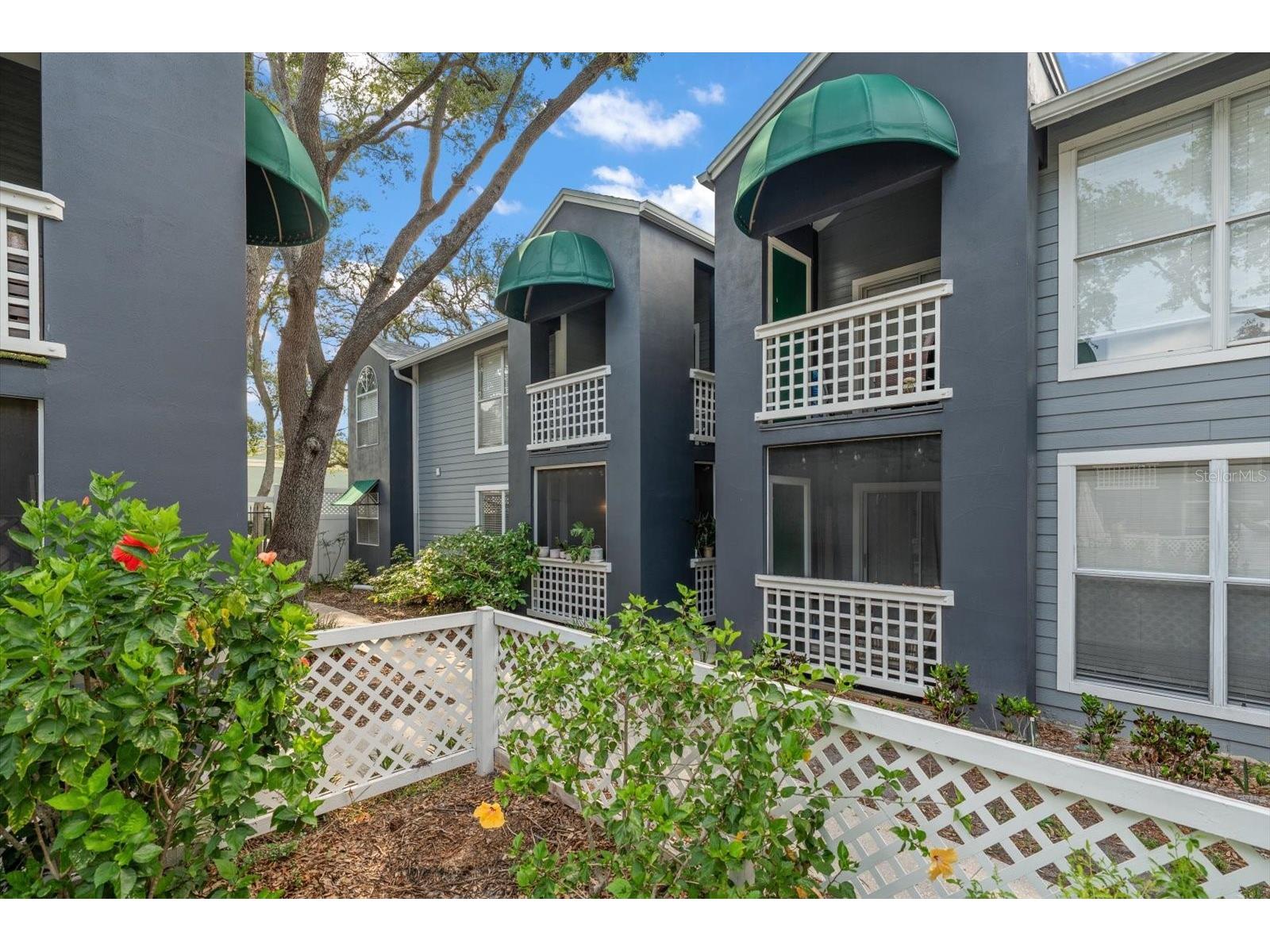 606 S Albany Avenue #5 Tampa FL 33606 TB8510980 image1