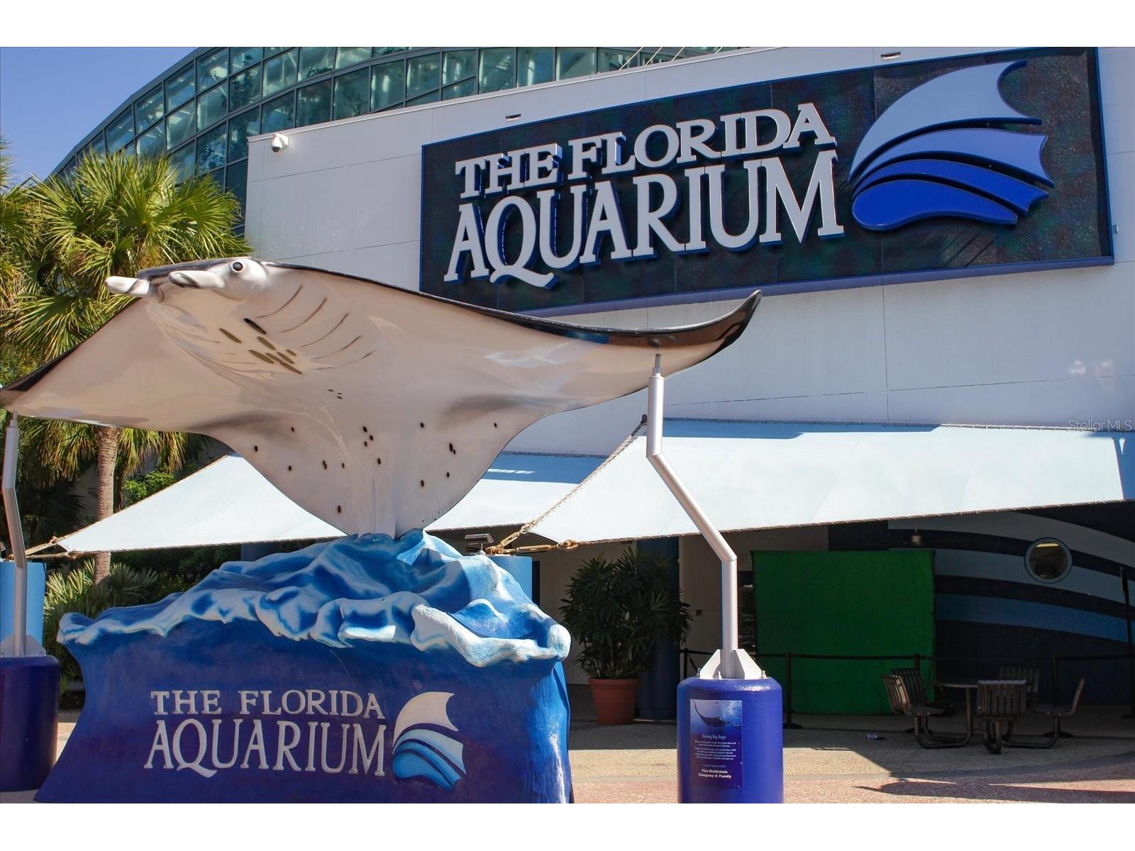 606 S Albany Avenue #5 Tampa FL 33606 TB8510980 image38