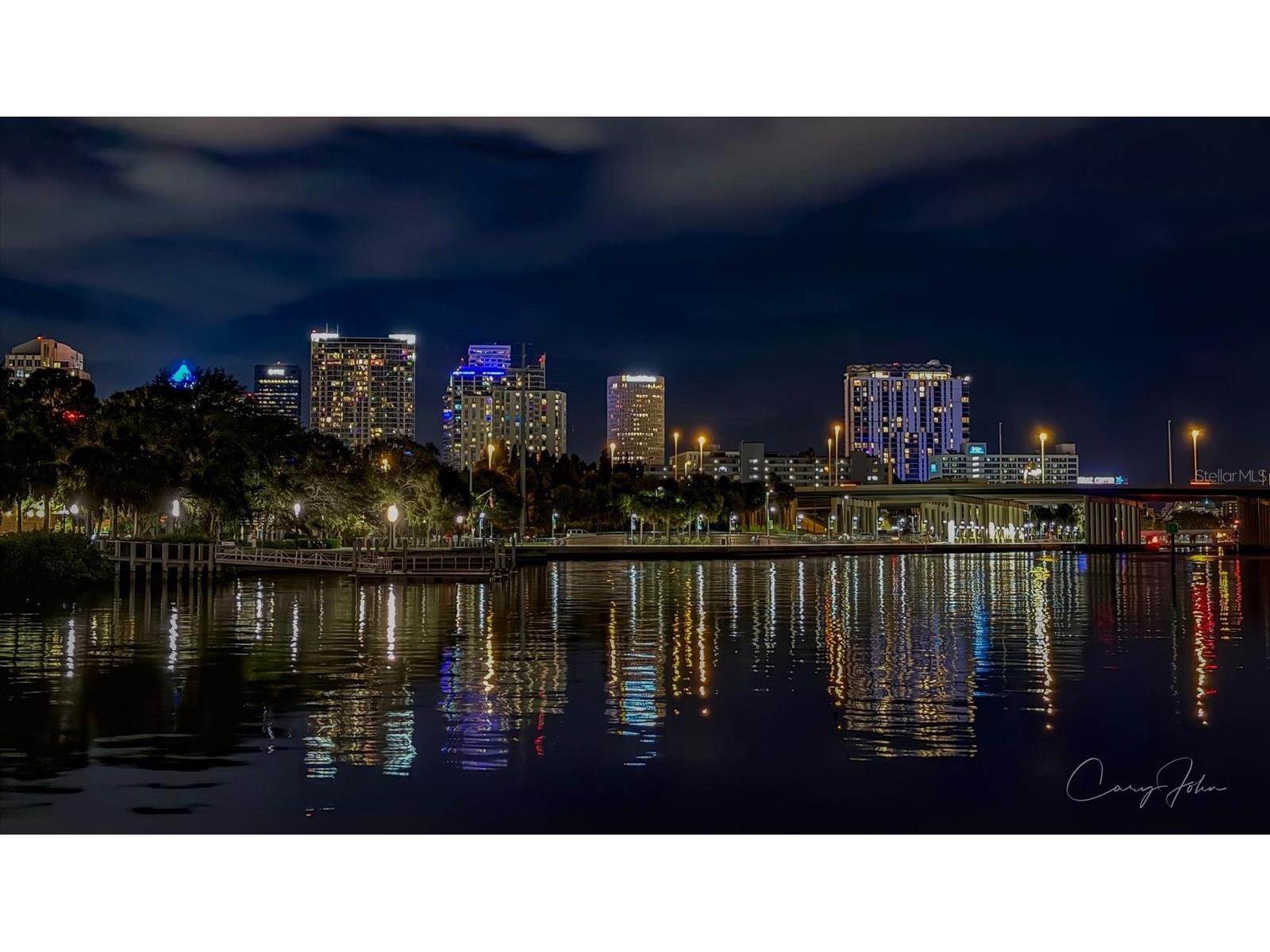 606 S Albany Avenue #5 Tampa FL 33606 TB8510980 image46