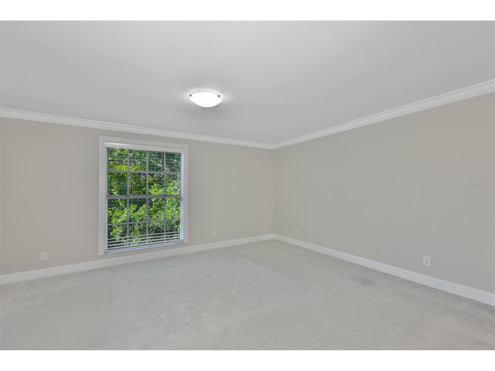 606 S Glen Avenue #10 Tampa FL 33609 TB8506425 image20