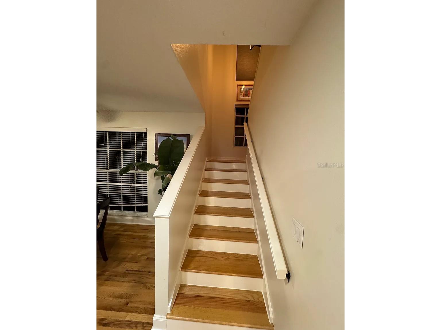 606 S Glen Avenue #9 Tampa FL 33609 TB8488272 image22