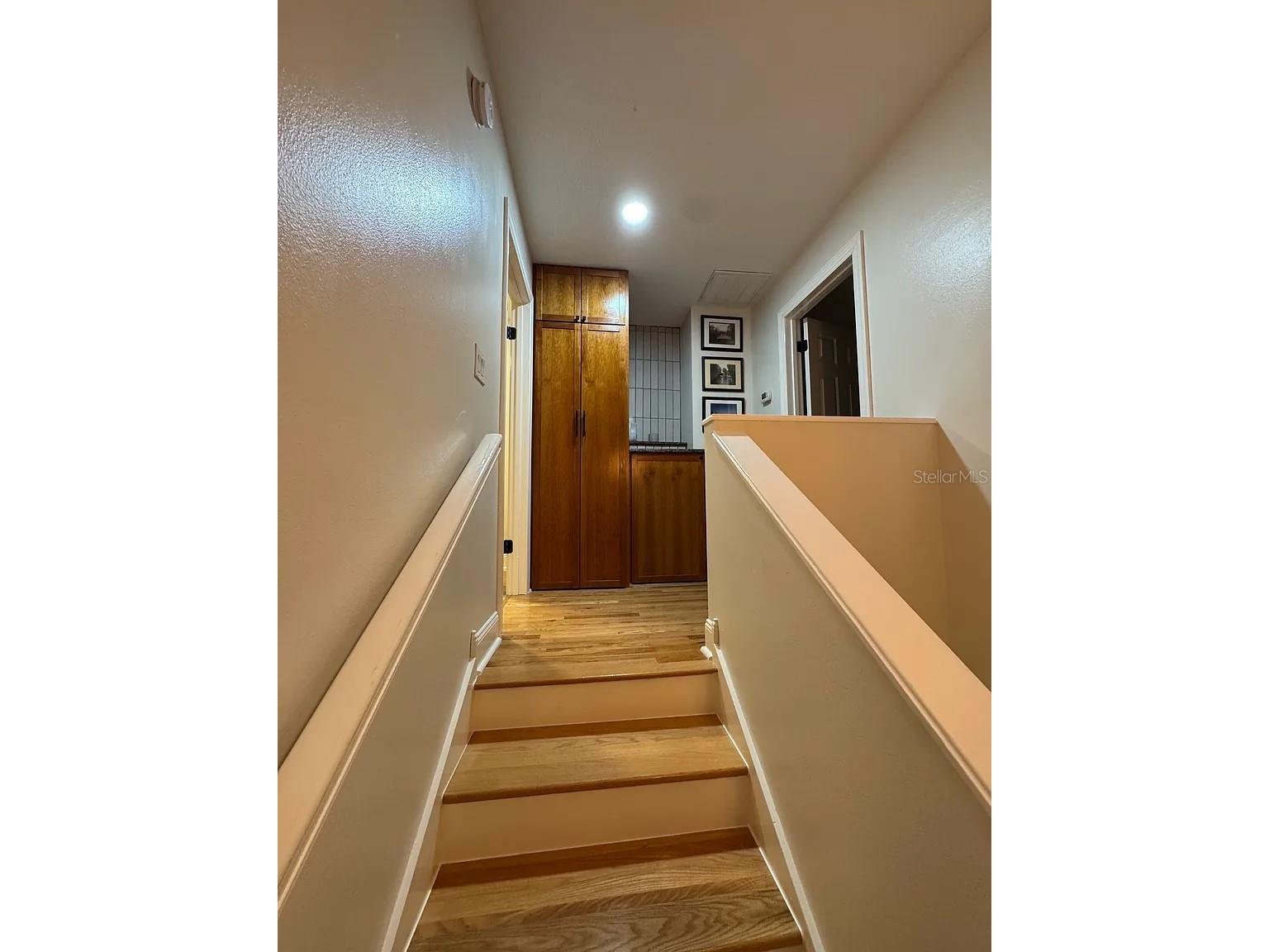 606 S Glen Avenue #9 Tampa FL 33609 TB8488272 image24