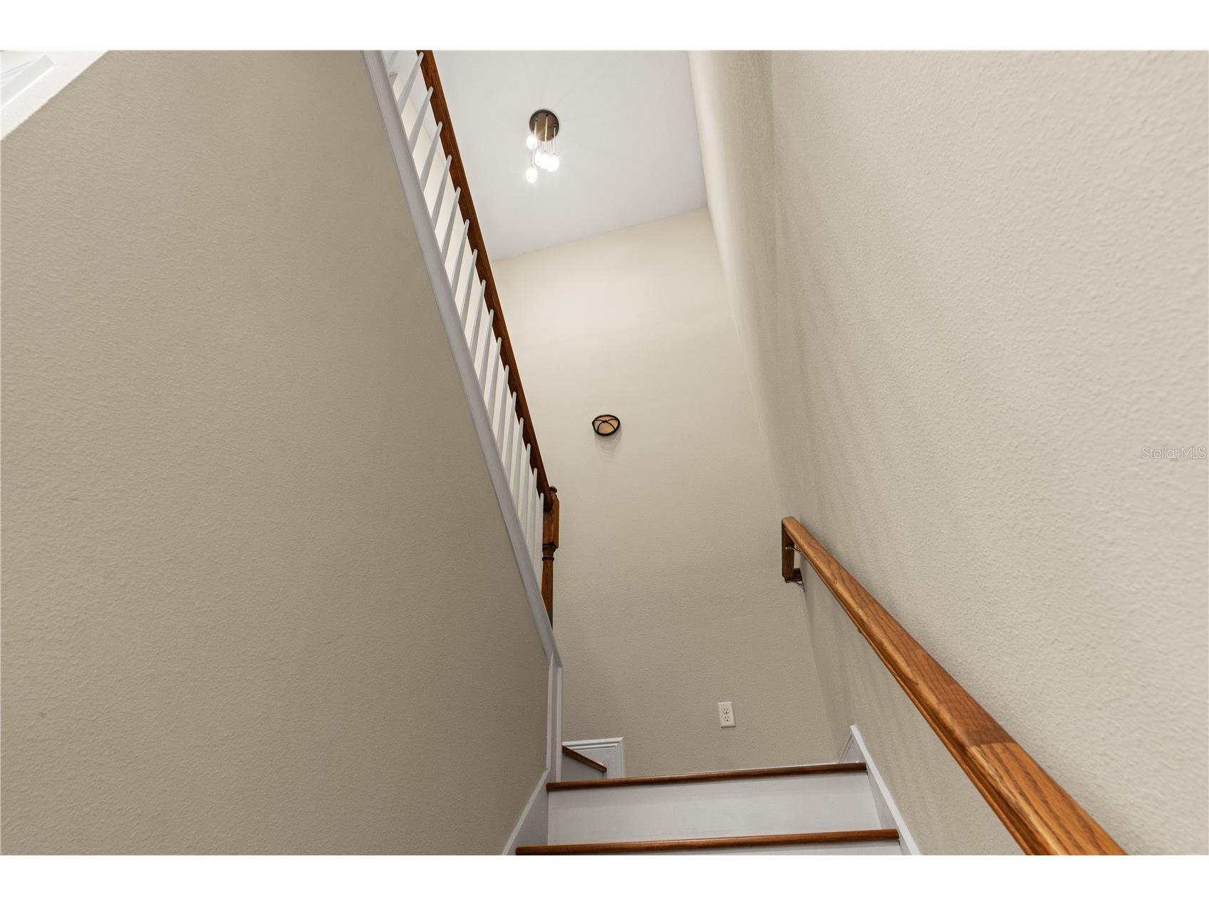 606 S Lincoln Avenue #2 Tampa FL 33609 TB8513332 image35