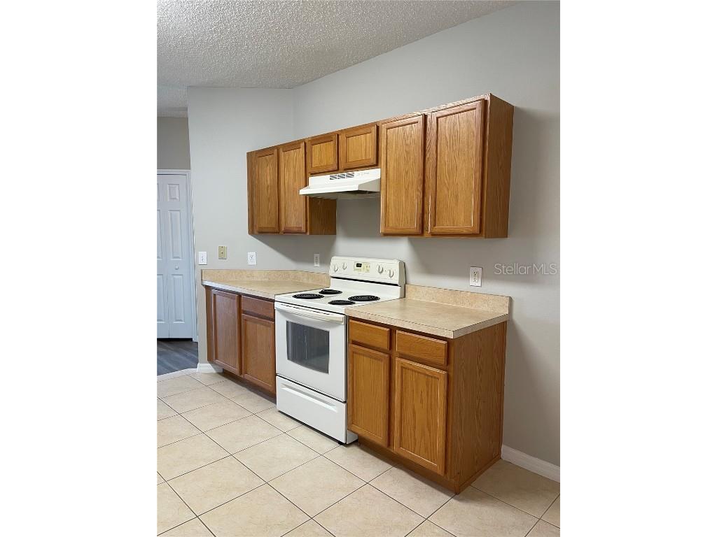 606 Sunset View Drive Davenport FL 33837 O6360563 image6