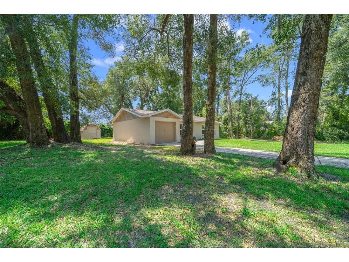 606 Wilson Street Wildwood FL 34785 OM709908 image57