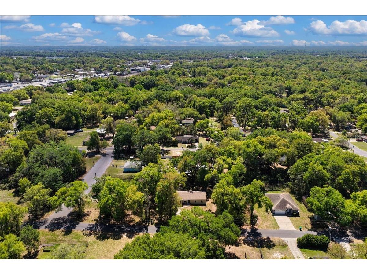 606 Wilson Street Wildwood FL 34785 TB8489012 image43