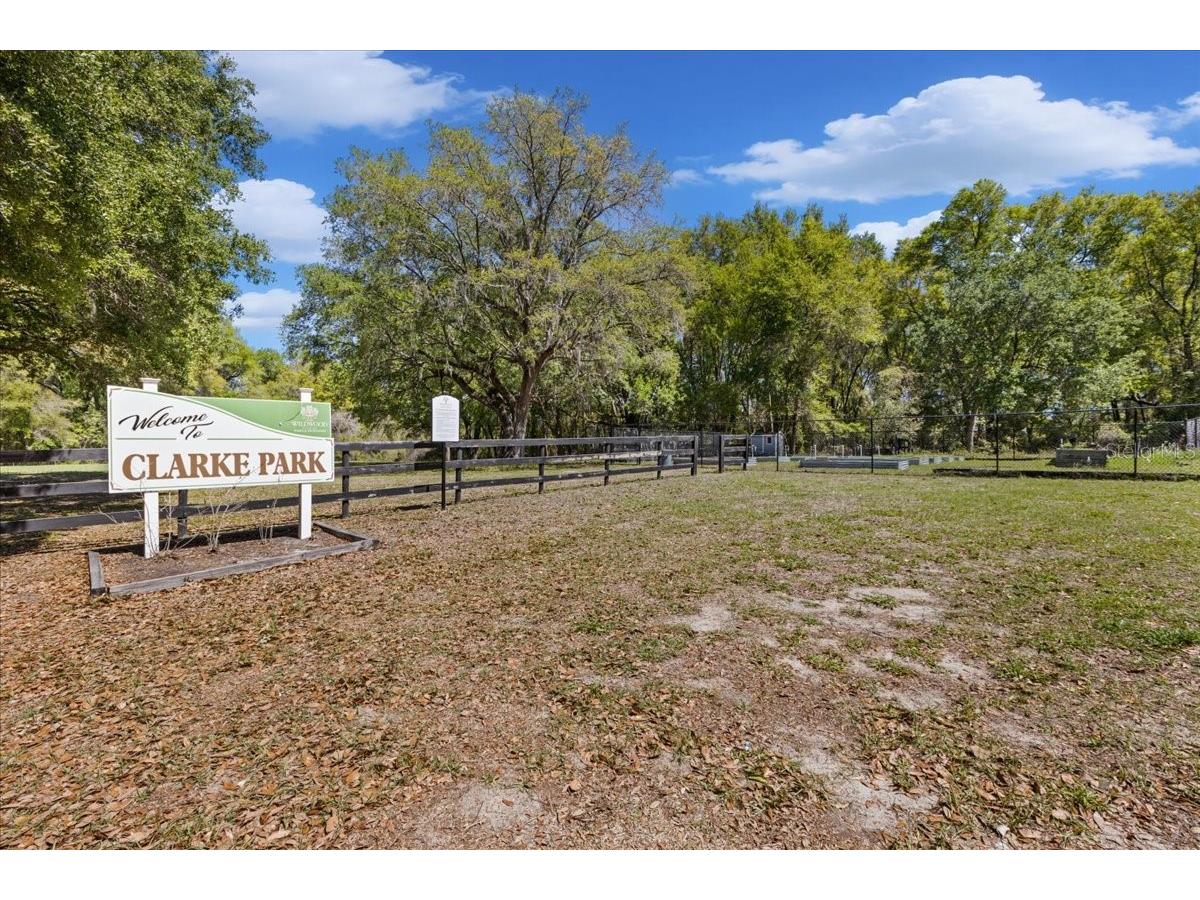 606 Wilson Street Wildwood FL 34785 TB8489012 image47