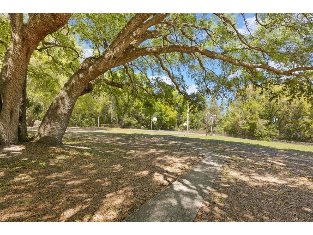 606 Wilson Street Wildwood FL 34785 TB8489012 image48