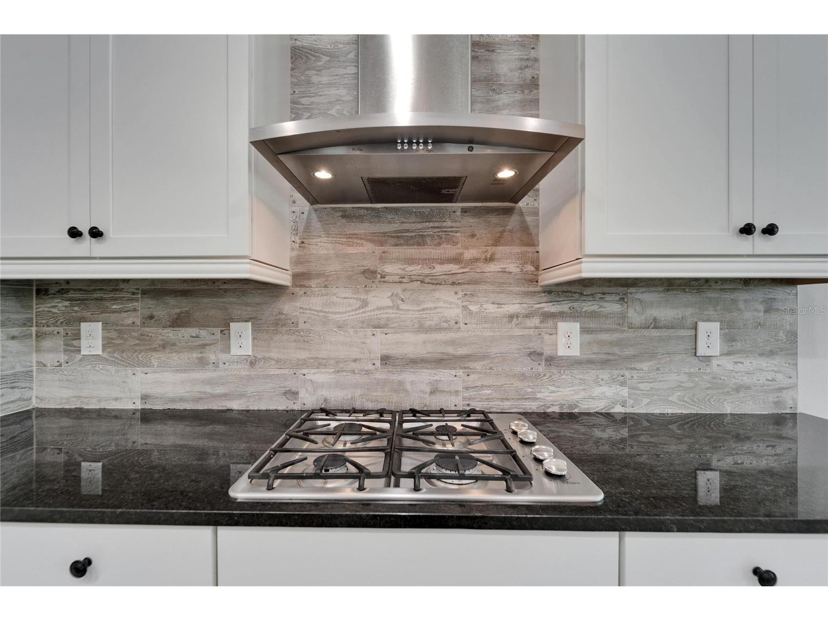 606 Winterside Drive Apollo Beach FL 33572 TB8525469 image17