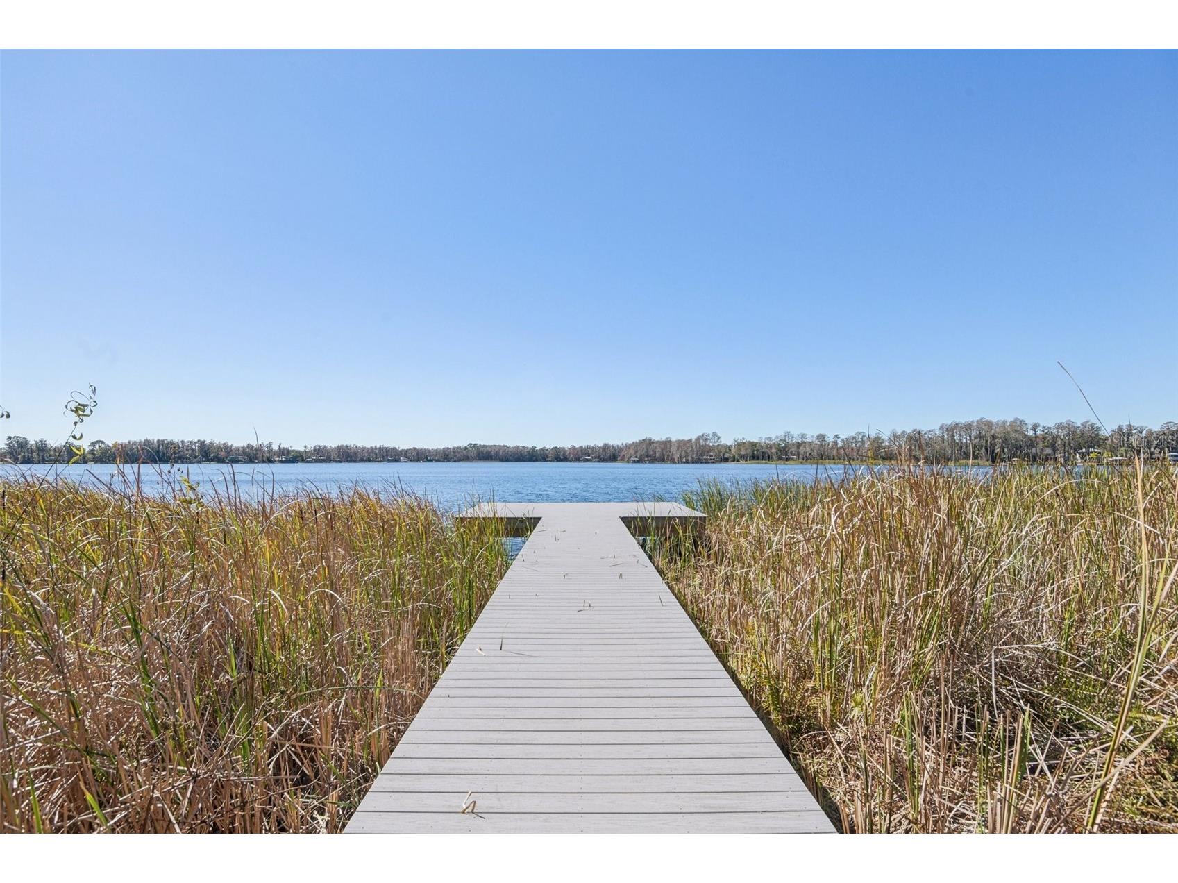 6060 Acara Lane Land O Lakes FL 34638 - LAKE THOMAS TB8470507 image2