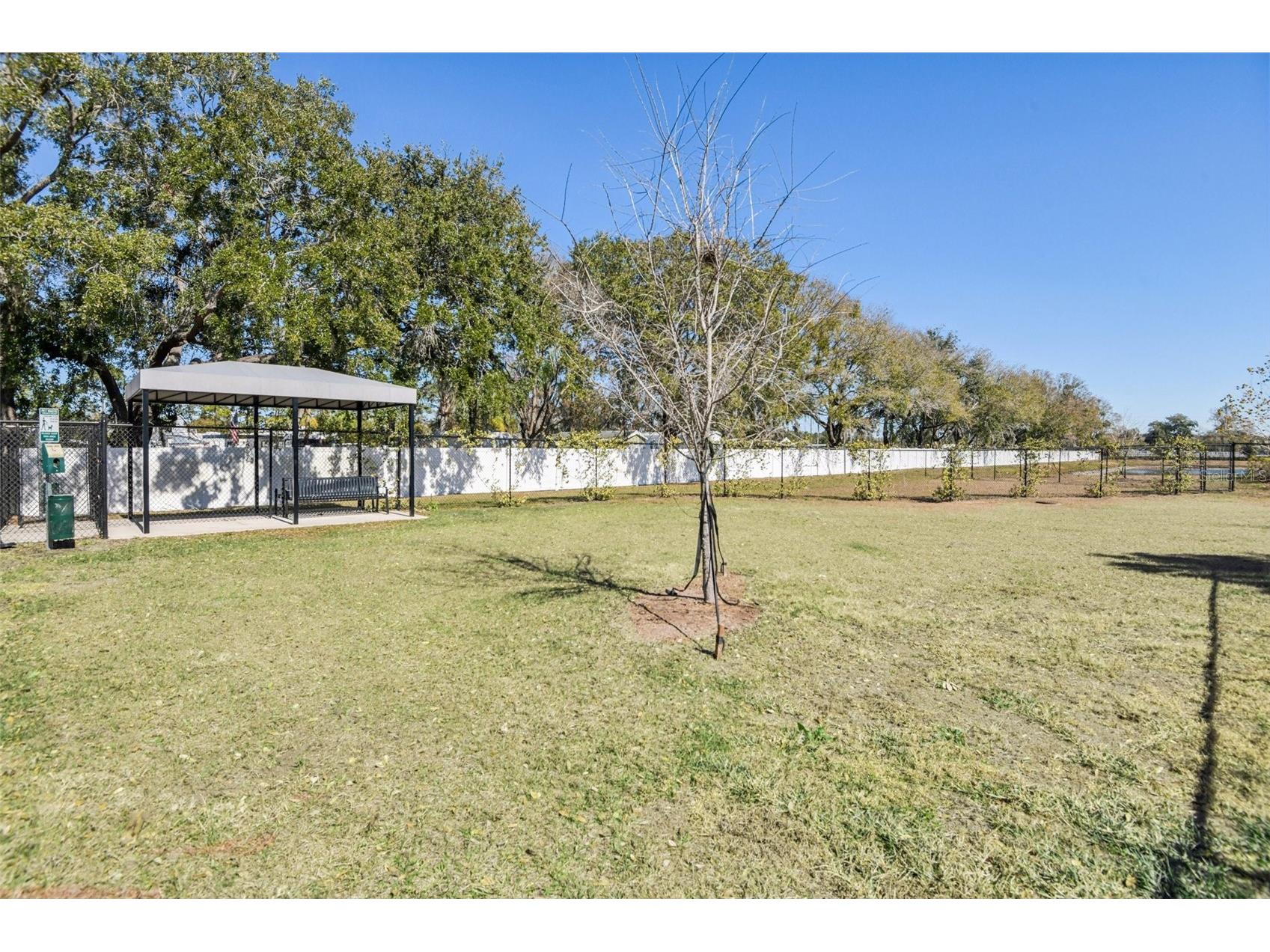 6060 Acara Lane Land O Lakes FL 34638 - LAKE THOMAS TB8470507 image30