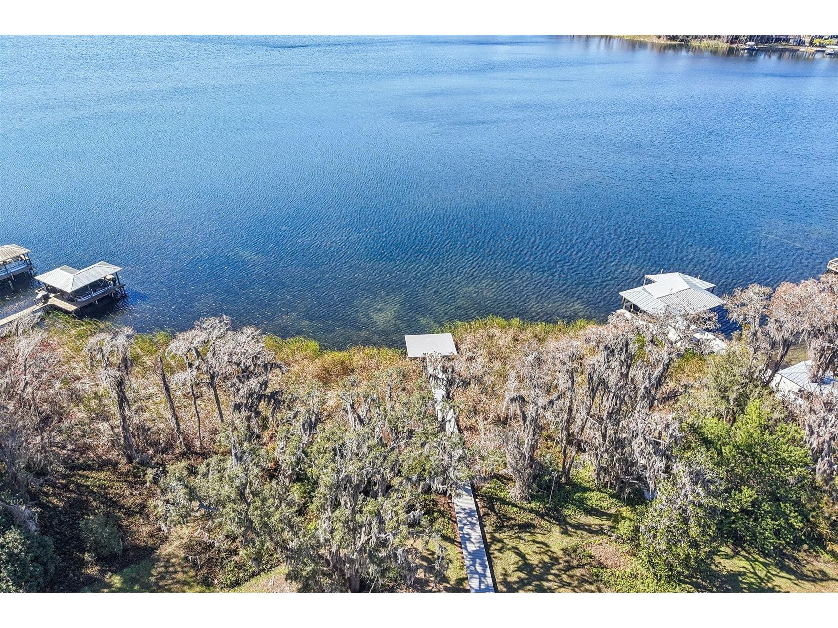 6060 Acara Lane Land O Lakes FL 34638 - LAKE THOMAS TB8470507 image31