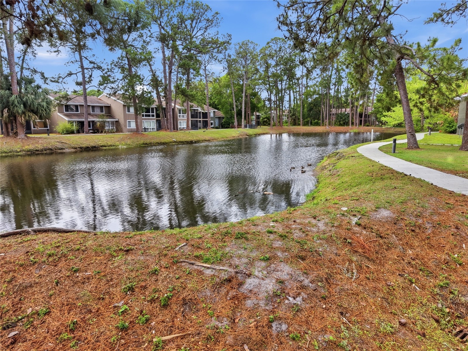 6060 Peregrine Avenue #17E Orlando FL 32819 G5110859 image26