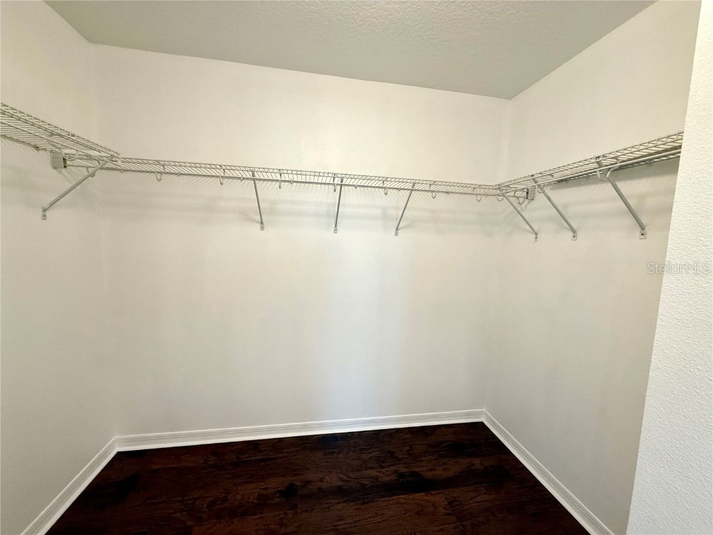 6060 Roseate Spoonbill Drive Windermere FL 34786 O6365728 image36