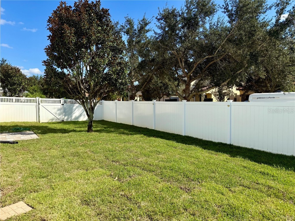 6060 Roseate Spoonbill Drive Windermere FL 34786 O6365728 image53