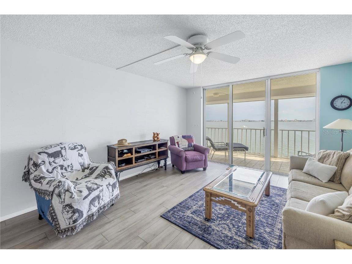 6060 Shore Boulevard S #510 Gulfport FL 33707 TB8300642 image11