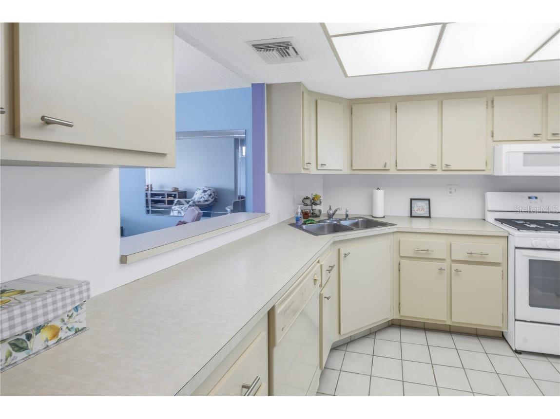 6060 Shore Boulevard S #510 Gulfport FL 33707 TB8300642 image15