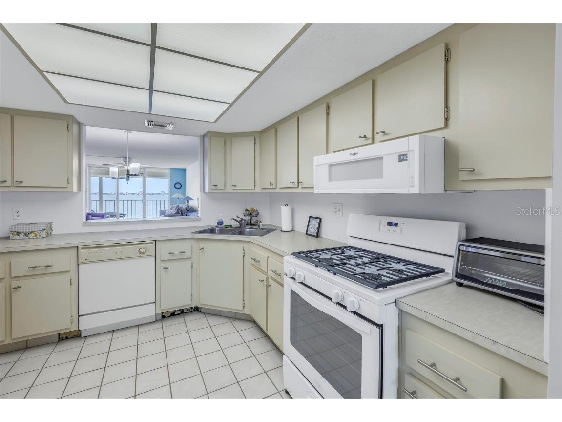 6060 Shore Boulevard S #510 Gulfport FL 33707 TB8300642 image18