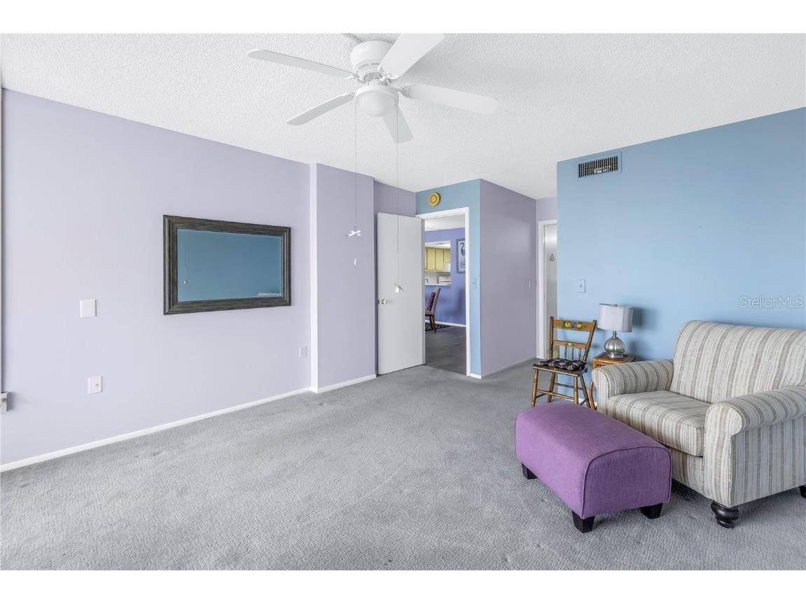 6060 Shore Boulevard S #510 Gulfport FL 33707 TB8300642 image25