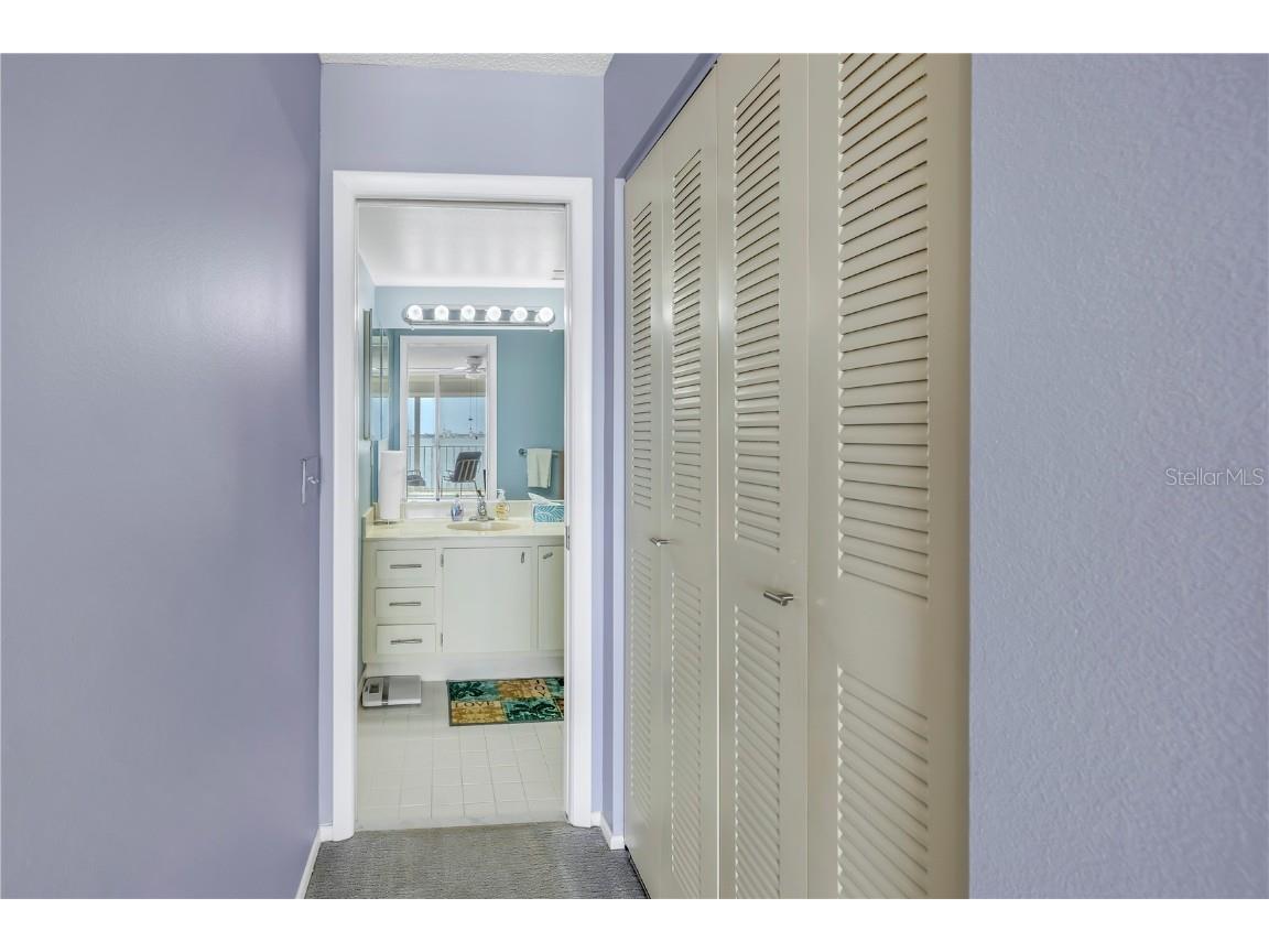 6060 Shore Boulevard S #510 Gulfport FL 33707 TB8300642 image26