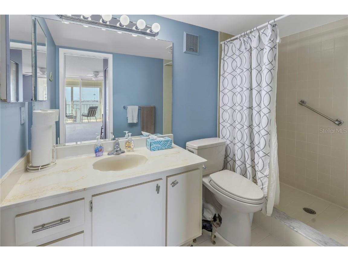 6060 Shore Boulevard S #510 Gulfport FL 33707 TB8300642 image27