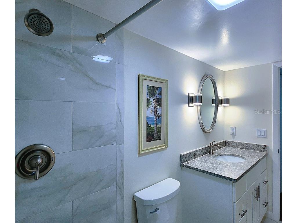 6060 Shore Boulevard S #903 Gulfport FL 33707 - BOCA CIEGA BAY AQUATICPRESERVE TB8444044 image43