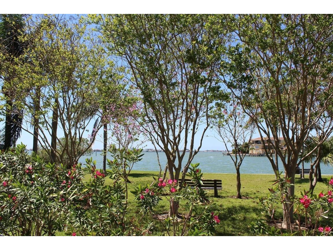 6060 Shore Boulevard S #903 Gulfport FL 33707 - BOCA CIEGA BAY AQUATICPRESERVE TB8444044 image58