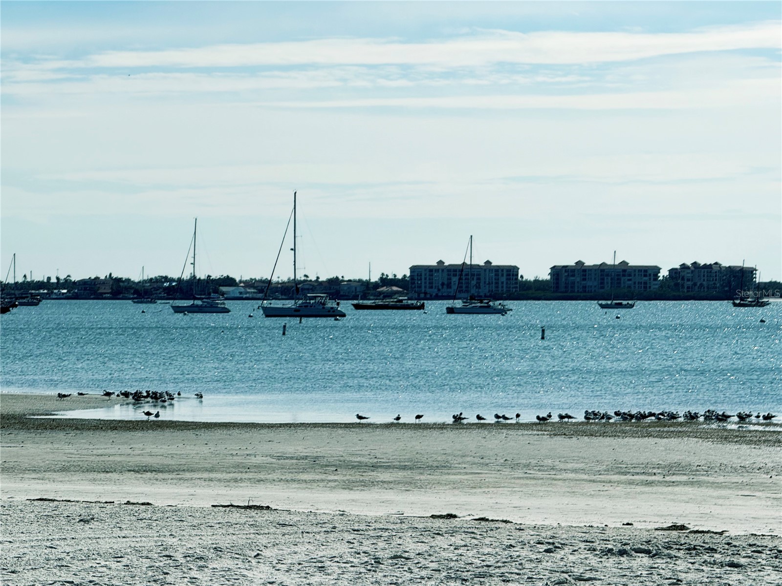 6060 Shore Boulevard S #906 Gulfport FL 33707 - BOCA CIEGA BAY TB8472305 image57