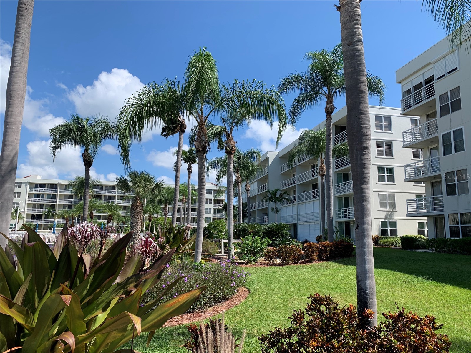 6061 Bahia Del Mar Circle #146 Saint Petersburg FL 33715 TB8486989 image20