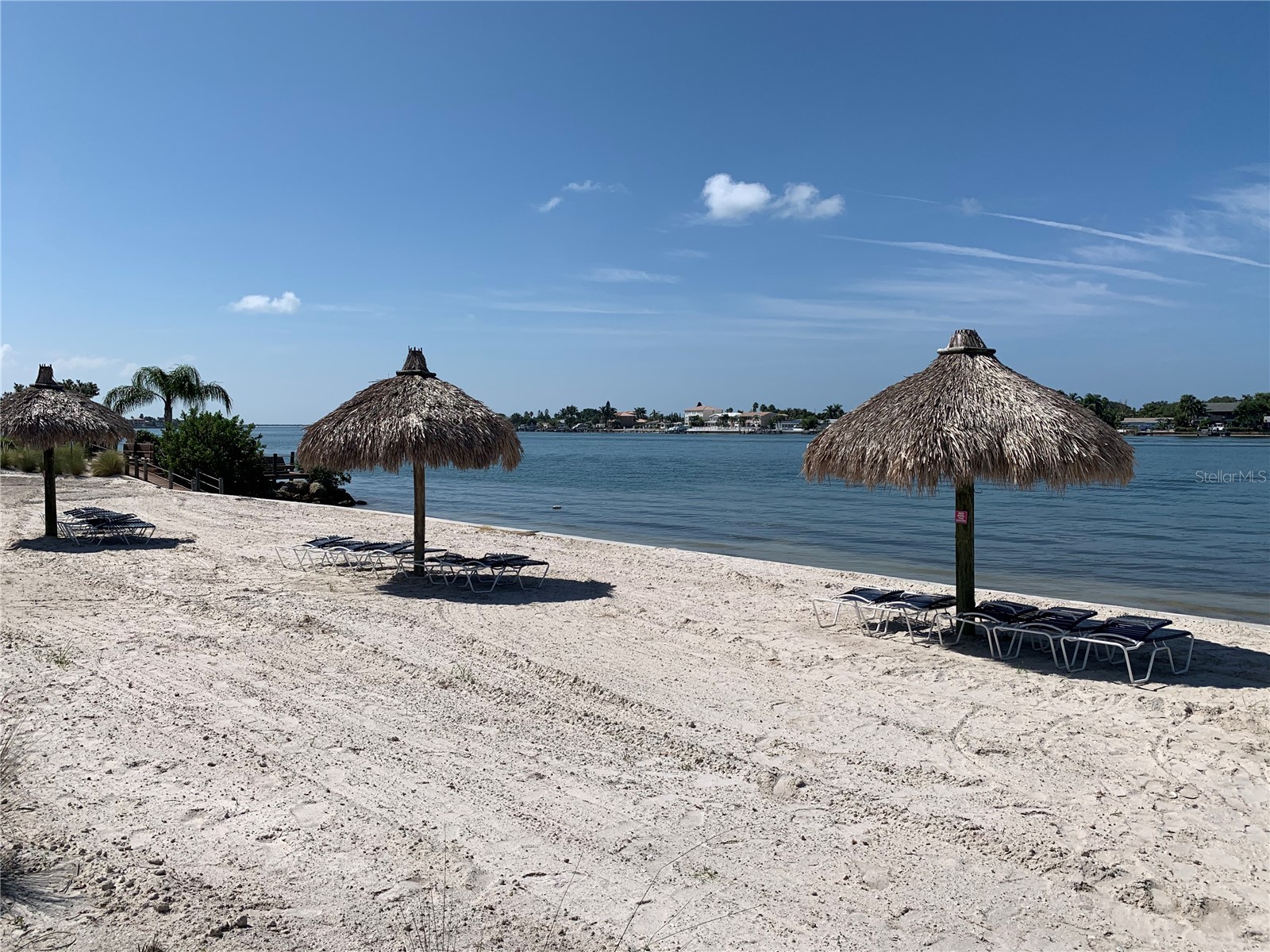 6061 Bahia Del Mar Circle #146 Saint Petersburg FL 33715 TB8486989 image23