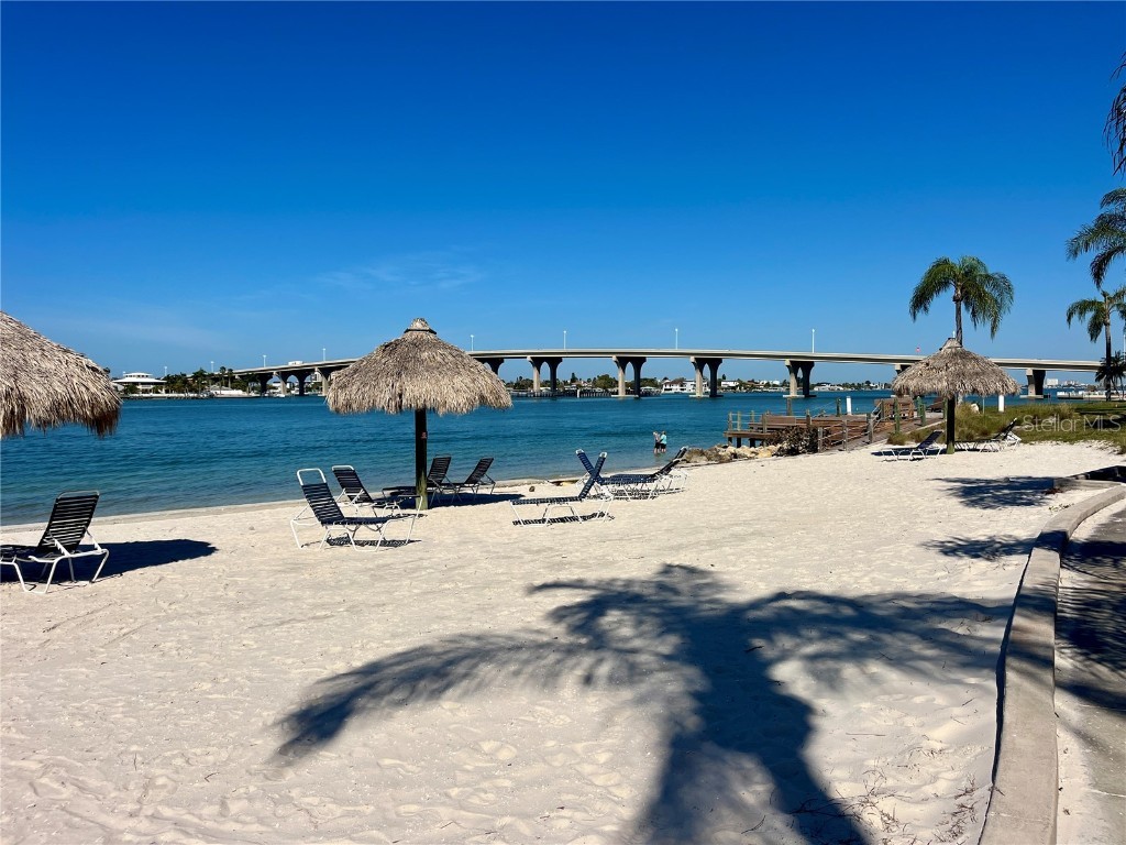 6061 Bahia Del Mar Circle #241 Saint Petersburg FL 33715 TB8315144 image1