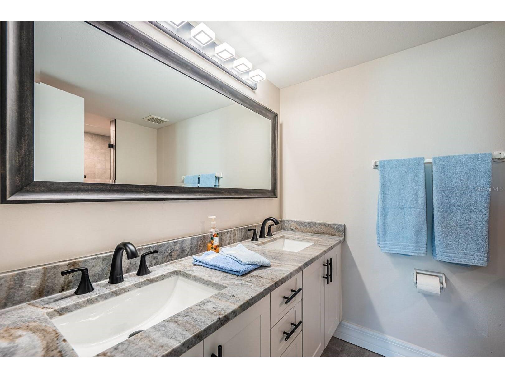 6061 Bahia Del Mar Circle #448 Saint Petersburg FL 33715 TB8474205 image15