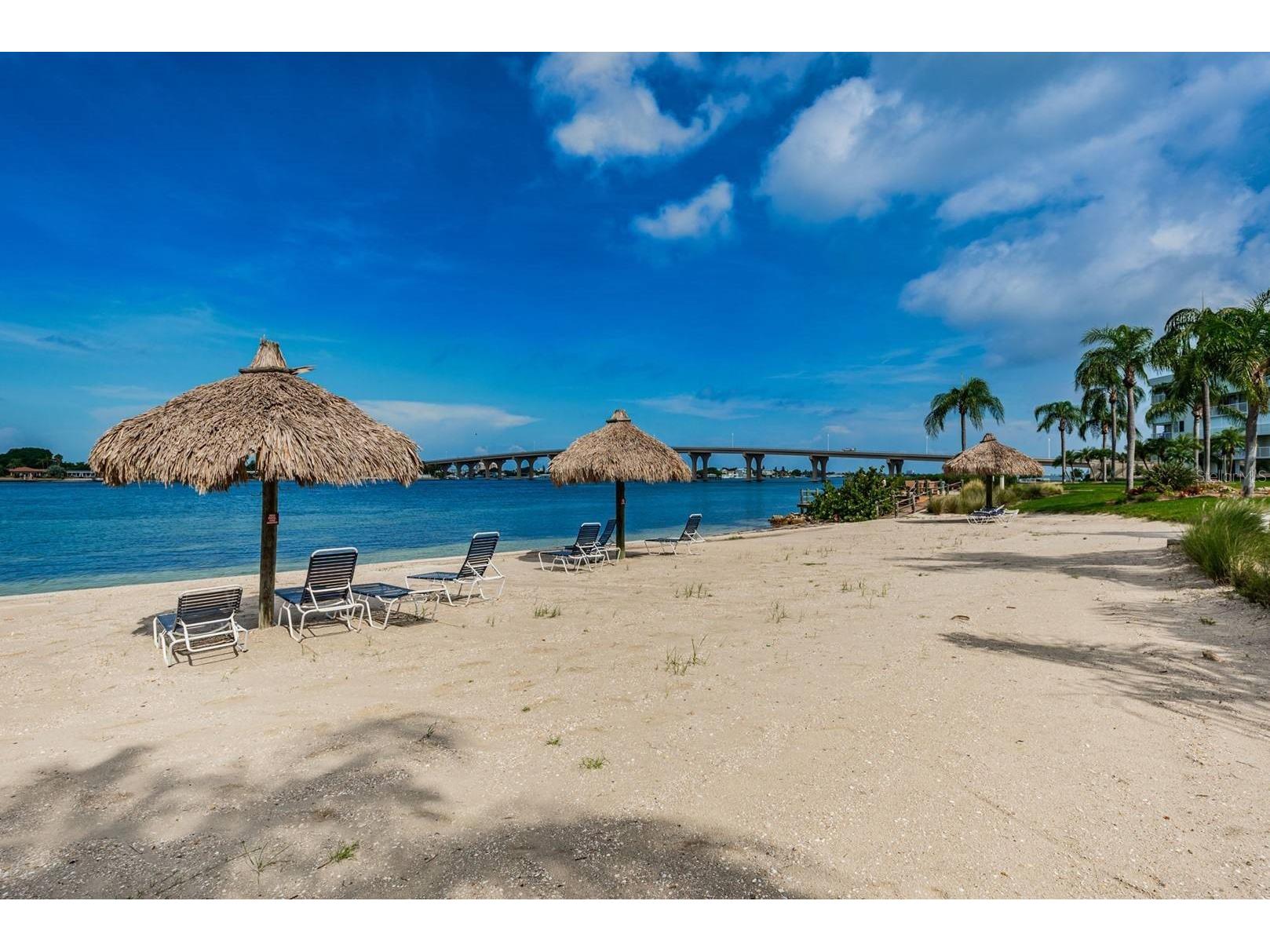 6061 Bahia Del Mar Circle #448 Saint Petersburg FL 33715 TB8474205 image19