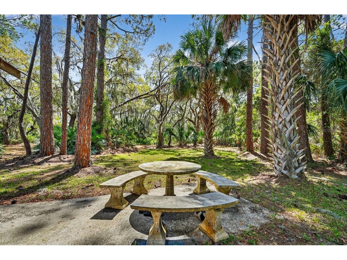6062 Dalford Road Port Orange FL 32127 NS1087849 image39