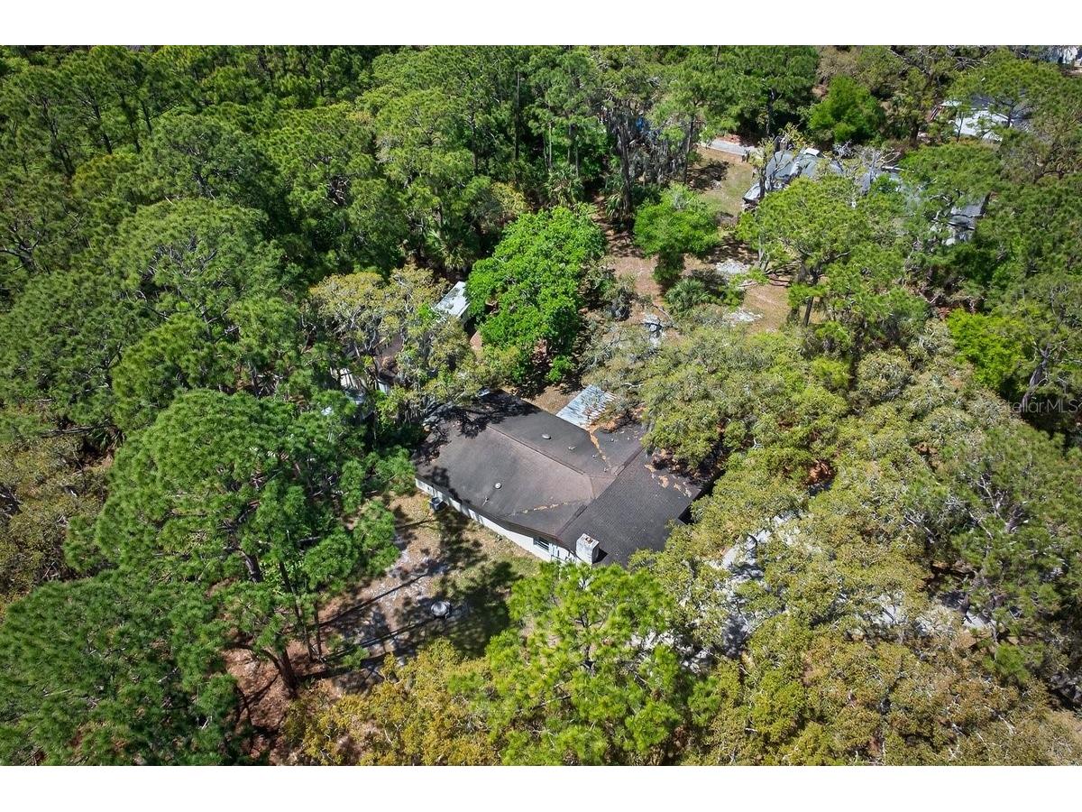 6062 Dalford Road Port Orange FL 32127 NS1087849 image47