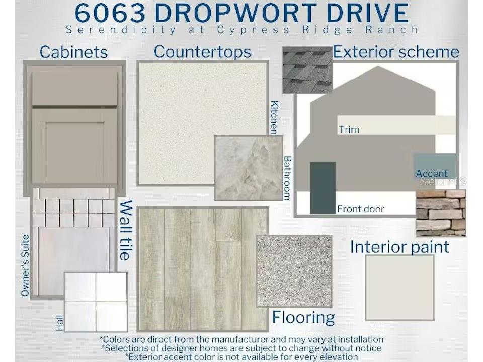 6063 Dropwort Drive Wimauma FL 33598 L4961386 image3