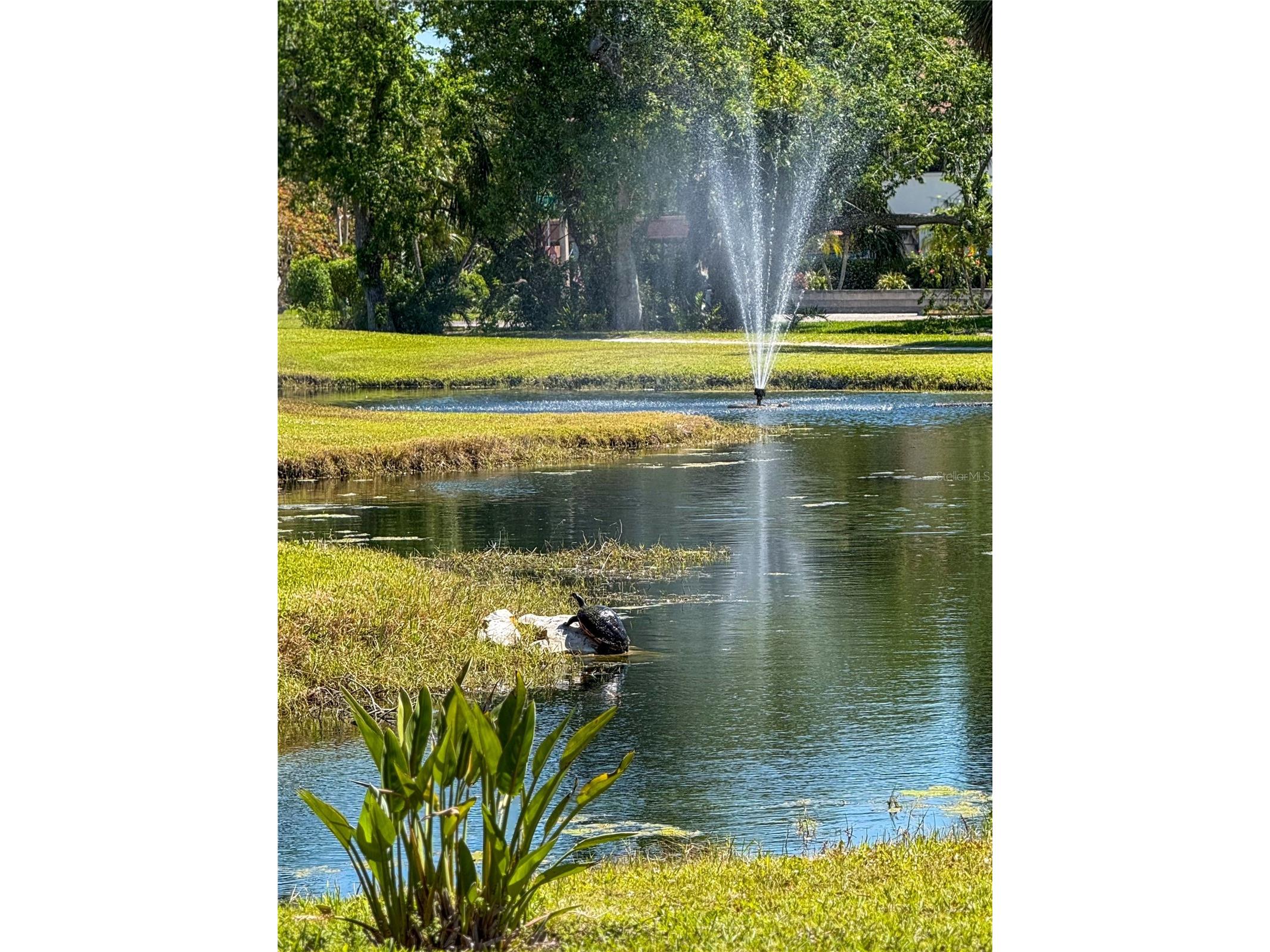 6064 Fairway Lane #1512 Bradenton FL 34210 A4693068 image39