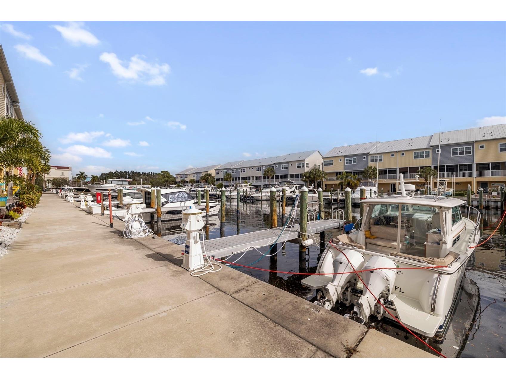 6064 Moorings Drive S Saint Petersburg FL 33712 TB8487070 image33