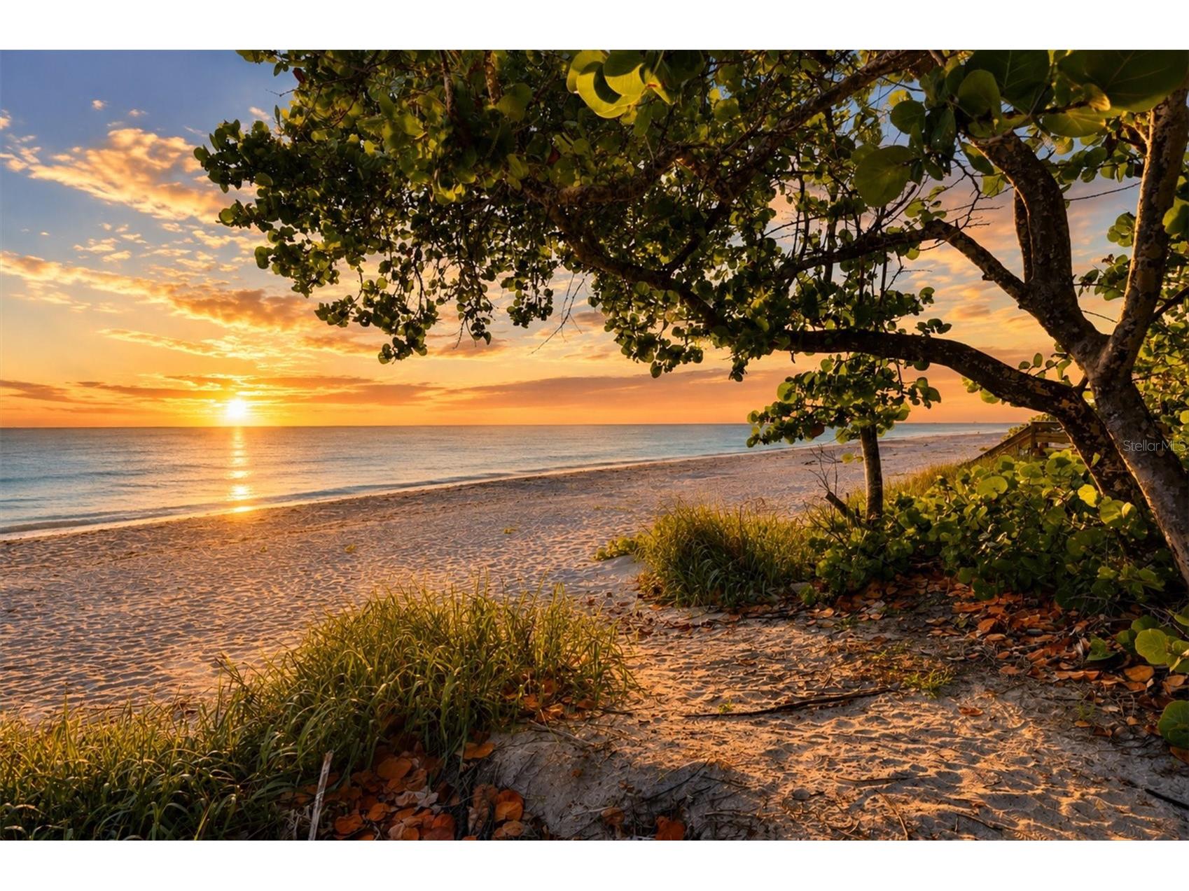 6065 Manasota Key Road Englewood FL 34223 - LEMON BAY D6147744 image11
