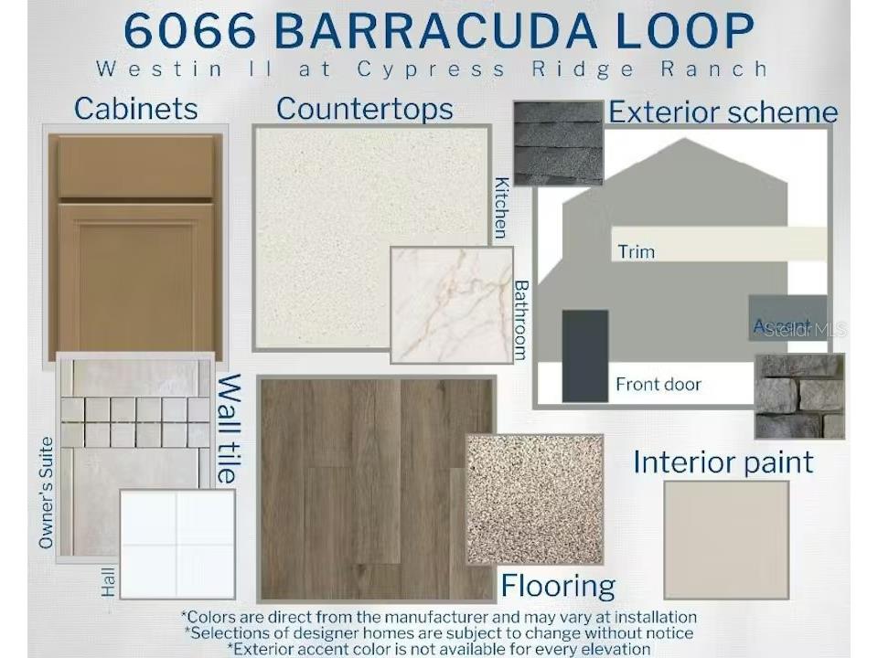 6066 Barracuda Loop Wimauma FL 33598 L4957847 image3