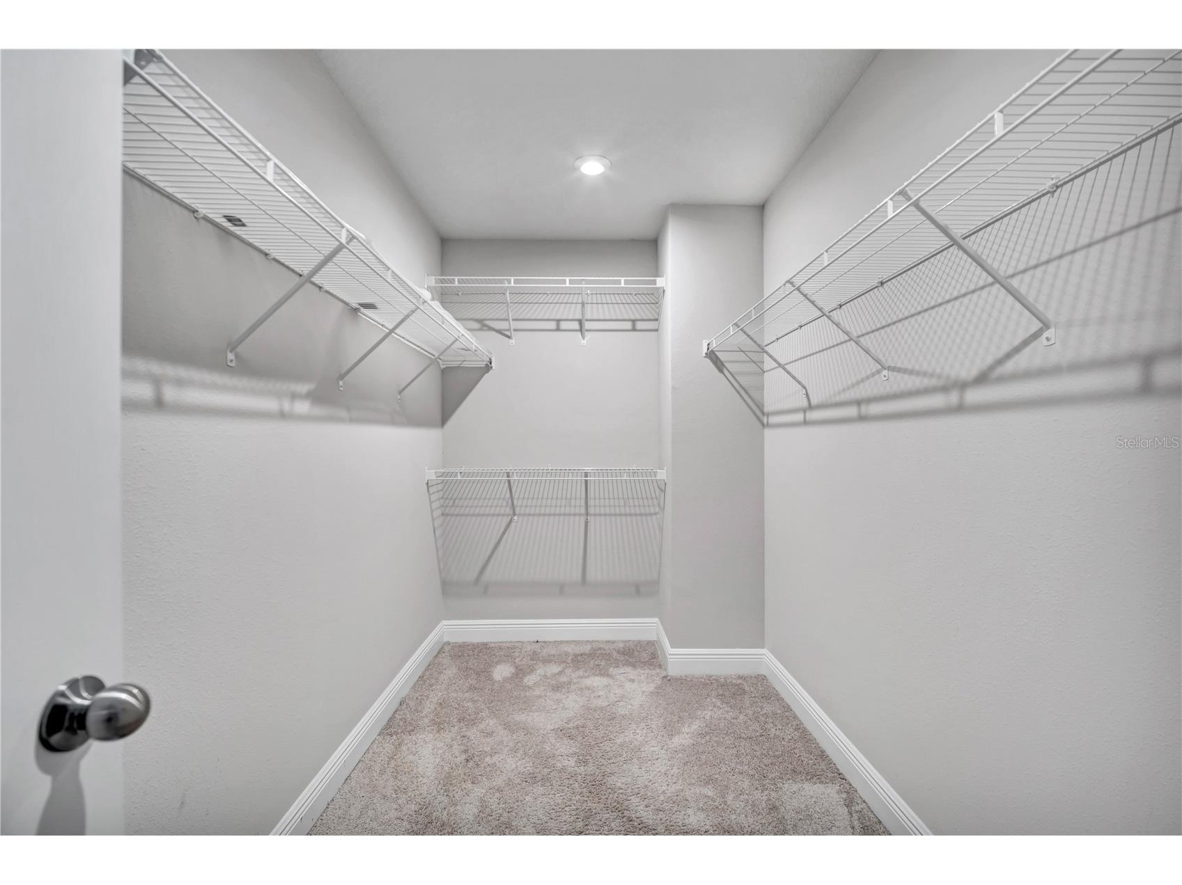 6066 Grand Sonata Avenue Lutz FL 33558 TB8494247 image15